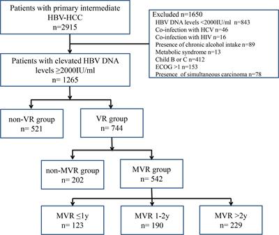 Association of Virological Response to Antiviral Therapy With Survival in Intermediate-Stage Hepatitis B Virus-Related Hepatocellular Carcinoma After Chemoembolization